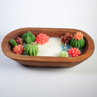 Premium Succulent Garden