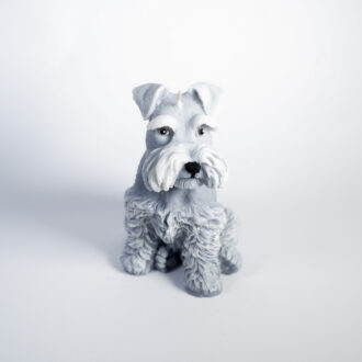 Schnauzer