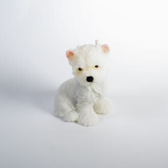 West Highland White