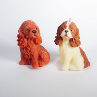 Cocker Spaniel