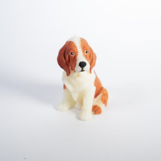 Basset Hound