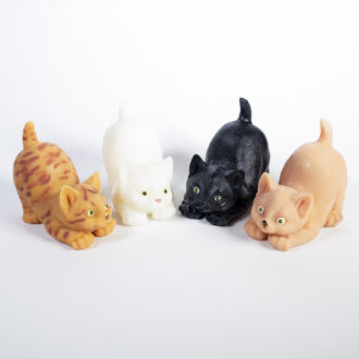 Cat Small
