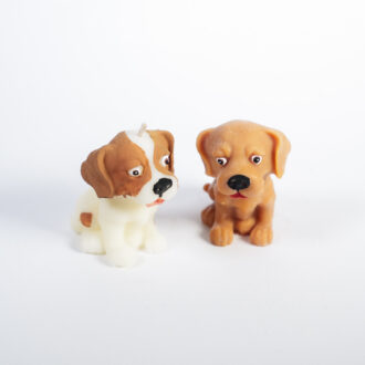 Beagle Puppy