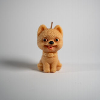 Shiba Inu