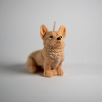 Corgi