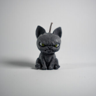 Cat Angry