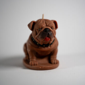 Bulldog
