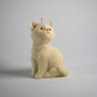 Cat Big 2