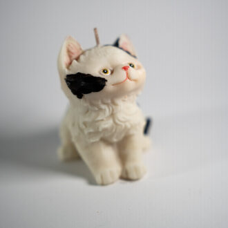 Longhair Cat